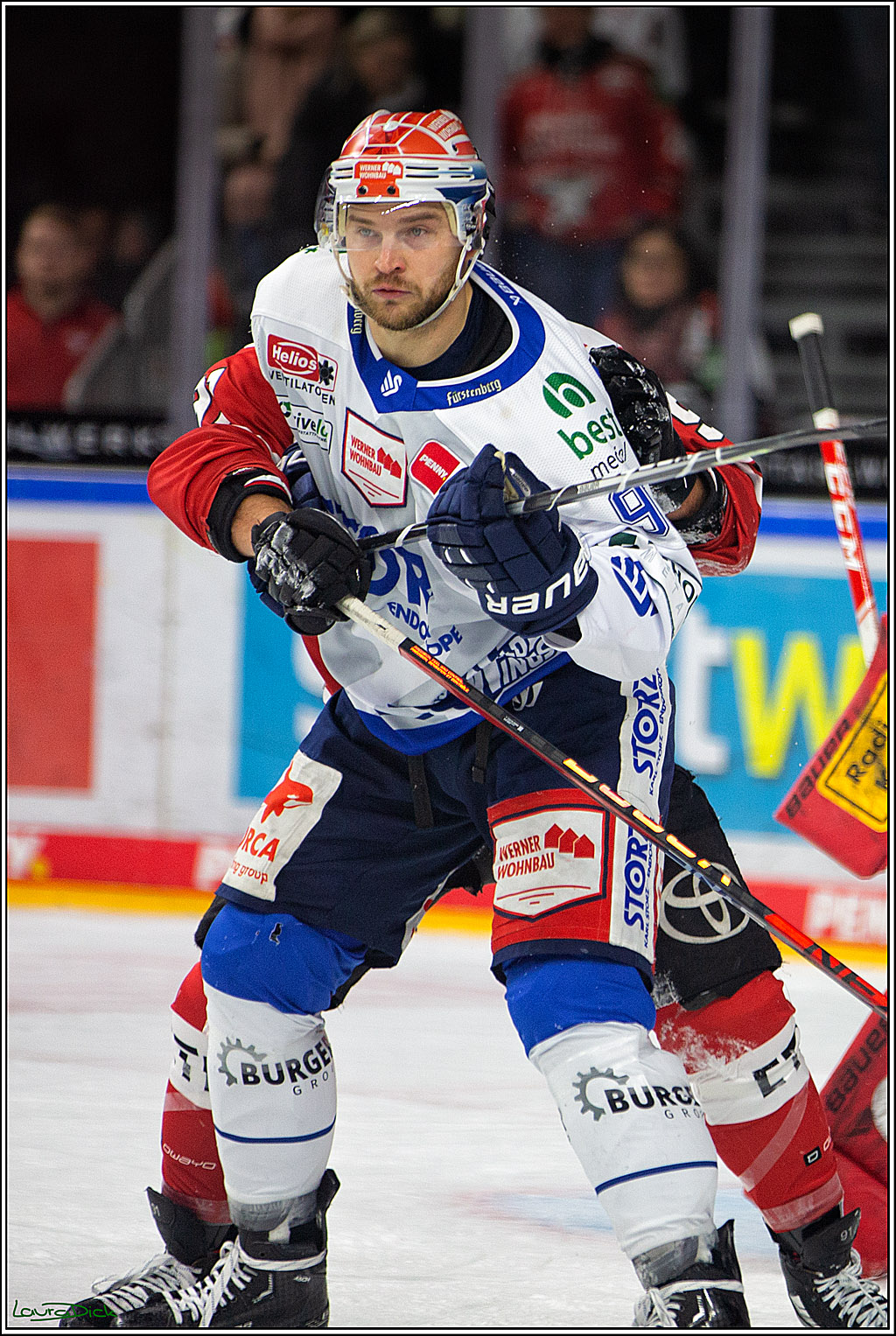 PENNY DEL; Koelner Haie- Schwenninger Wild Wings; Koeln, 06.12.2022